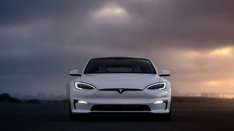 2024 Tesla Model S: Dual Motor vs. Plaid